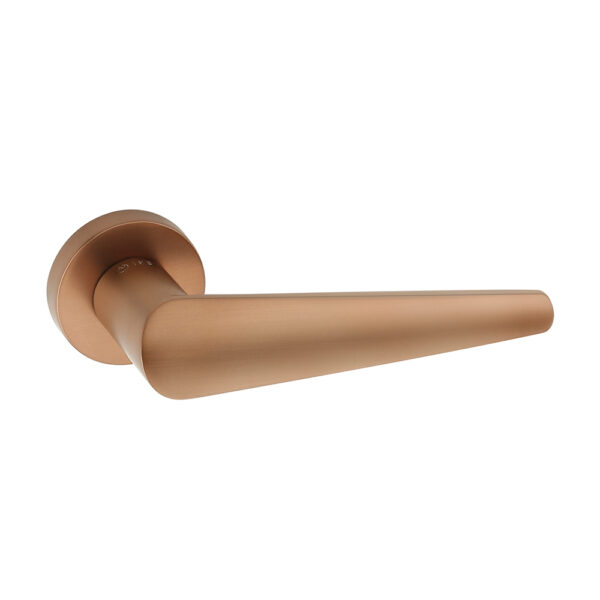 BONE - Image 3