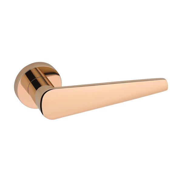 BONE - Image 2