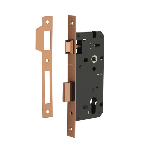 ML 13 - Image 3