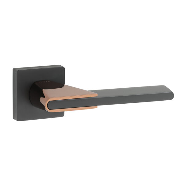 TAN - Image 3