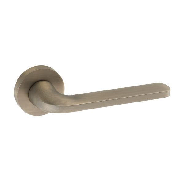 OLIVE - Image 4