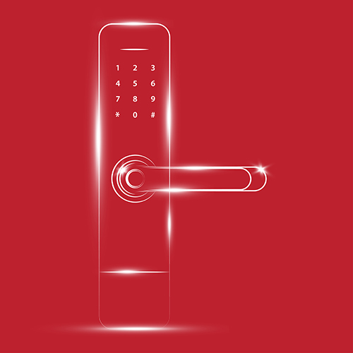 Electronic Locks