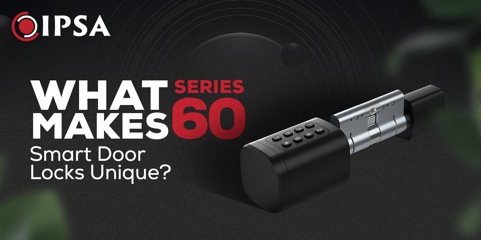 What Makes Series 60 Smart Door Locks Unique?